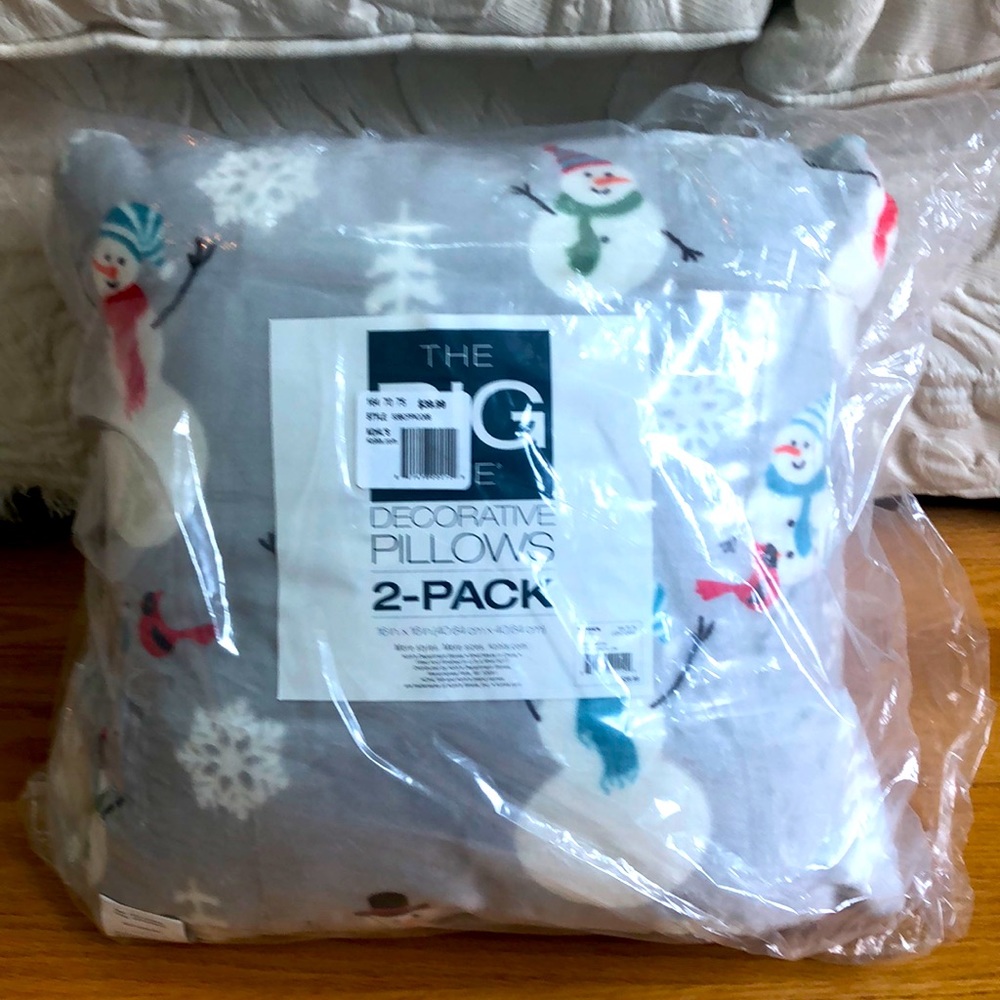 NWT Adorable 2 Pack of Pillows